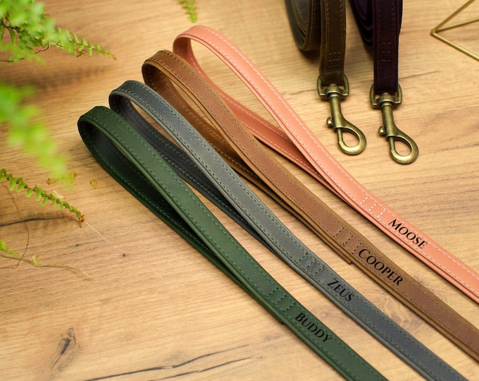 Custom Leather Dog Leash with Handle, Cute Leather Dog Leashes with Name, Personalized Puppy Leads, Leather Dog Leash 5FT, Dog Lover Gifts