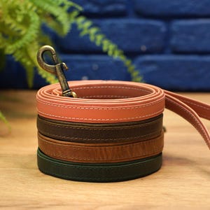 Puede incluir: Un juego de cuatro correas de cuero para perros en rosa, marr&oacute;n, beige y verde. Las correas est&aacute;n apiladas una encima de la otra y tienen un gancho de lat&oacute;n.