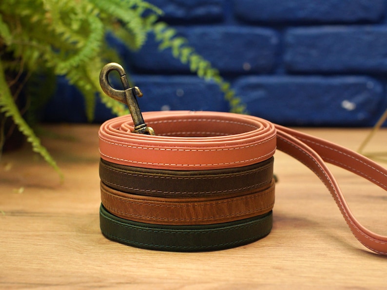 Puede incluir: Un juego de cuatro correas de cuero para perros en rosa, marr&oacute;n, beige y verde. Las correas est&aacute;n apiladas una encima de la otra y tienen un gancho de lat&oacute;n.