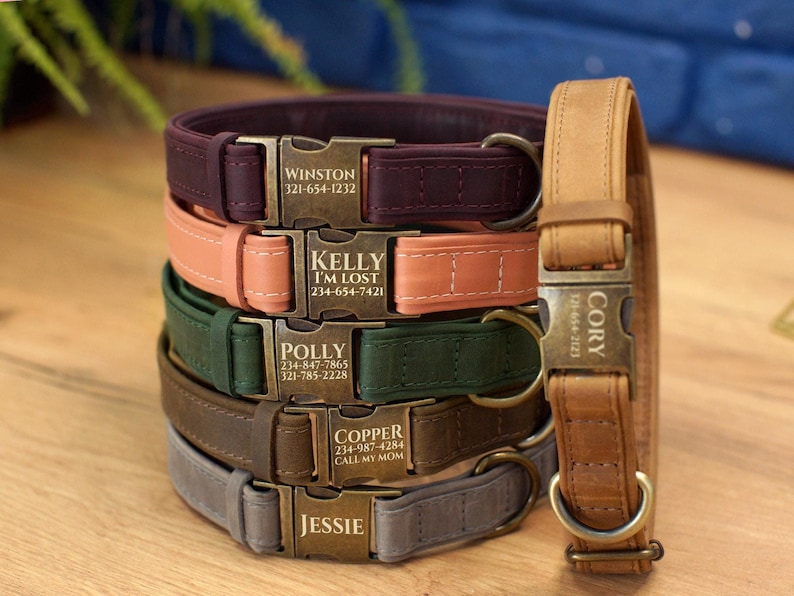 Graverade läderhalsband för hundar med namn, läderhalsband för husdjur med spänne, personligt hundhalsband, specialdesignat hundhalsband, present till husdjursägare bild 2
