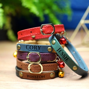 May include: A stack of five colorful leather cat collars with engraved names, "Cory I'm chipped", "Jessie", and "Winston". Each collar has a gold buckle and a bell.