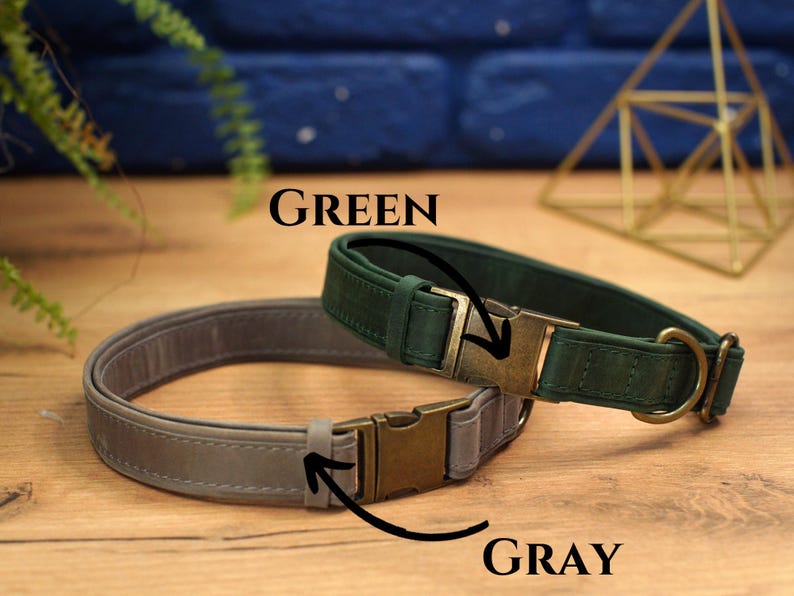 Graverade läderhalsband för hundar med namn, läderhalsband för husdjur med spänne, personligt hundhalsband, specialdesignat hundhalsband, present till husdjursägare bild 10