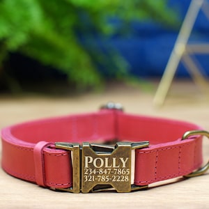 May include: A pink leather dog collar with a brass buckle engraved with the name "POLLY" and phone numbers 234-847-7865 and 321-785-2228.