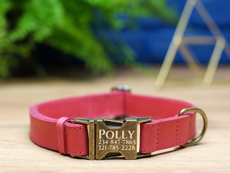 May include: A pink leather dog collar with a brass buckle engraved with the name "POLLY" and phone numbers 234-847-7865 and 321-785-2228.