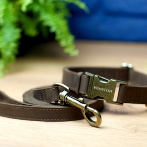 Puede incluir: Un collar y una correa para perro de cuero marr&oacute;n con una hebilla de lat&oacute;n. El collar tiene el nombre "WINSTON" grabado en la hebilla.