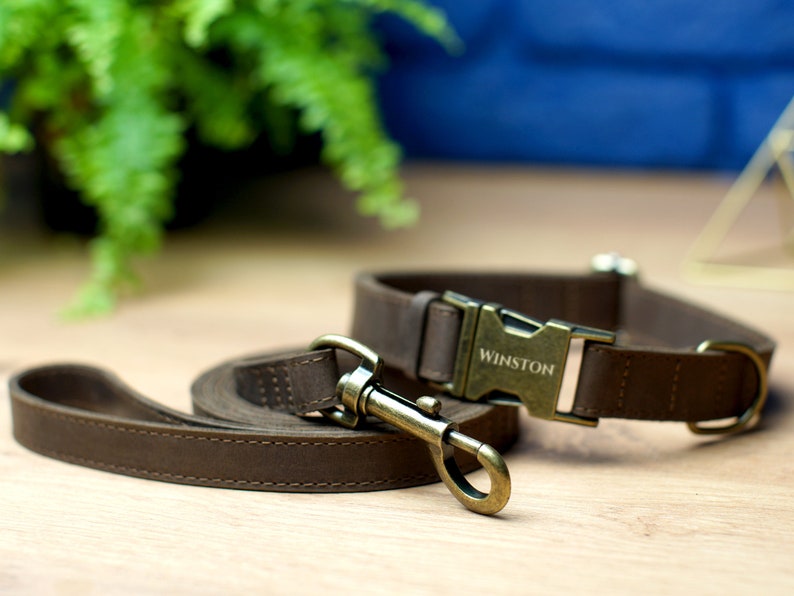 Puede incluir: Un collar y una correa para perro de cuero marr&oacute;n con una hebilla de lat&oacute;n. El collar tiene el nombre "WINSTON" grabado en la hebilla.
