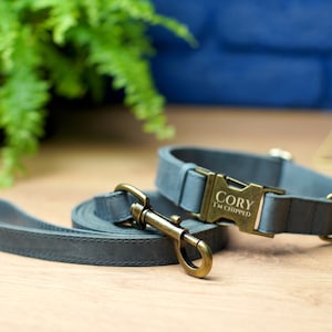 Puede incluir: Un collar y una correa para perro de cuero gris con una hebilla de lat&oacute;n. El collar tiene el texto "Cory I'm chipped" grabado en la hebilla.