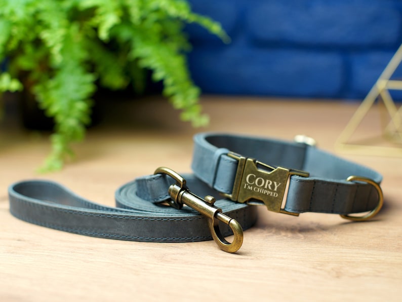 Puede incluir: Un collar y una correa para perro de cuero gris con una hebilla de lat&oacute;n. El collar tiene el texto "Cory I'm chipped" grabado en la hebilla.