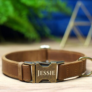 May include: A brown leather dog collar with a brass buckle and a personalized name tag that reads "JESSIE".