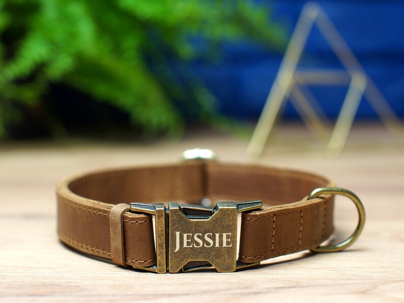 May include: A brown leather dog collar with a brass buckle and a personalized name tag that reads "JESSIE".