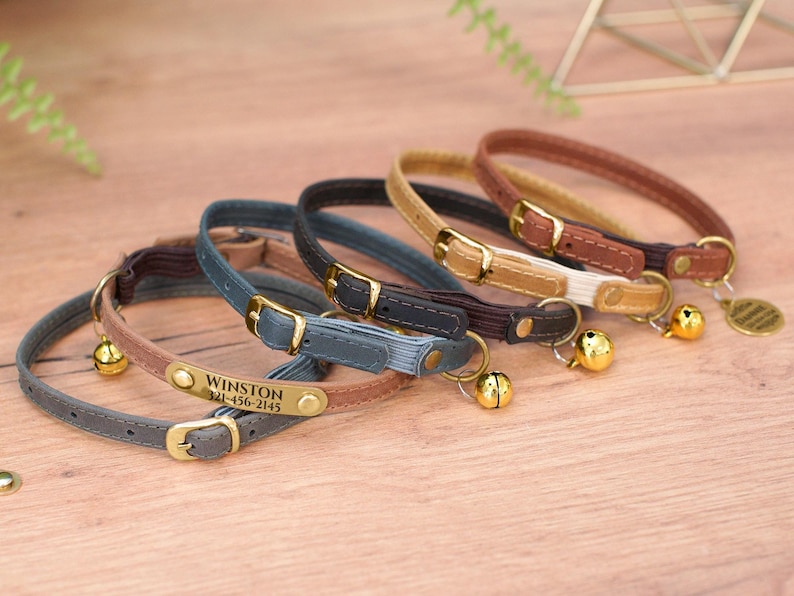 May include: Five different colored cat collars with a bell and a name tag. The name tag reads "WINSTON 321-456-2145".