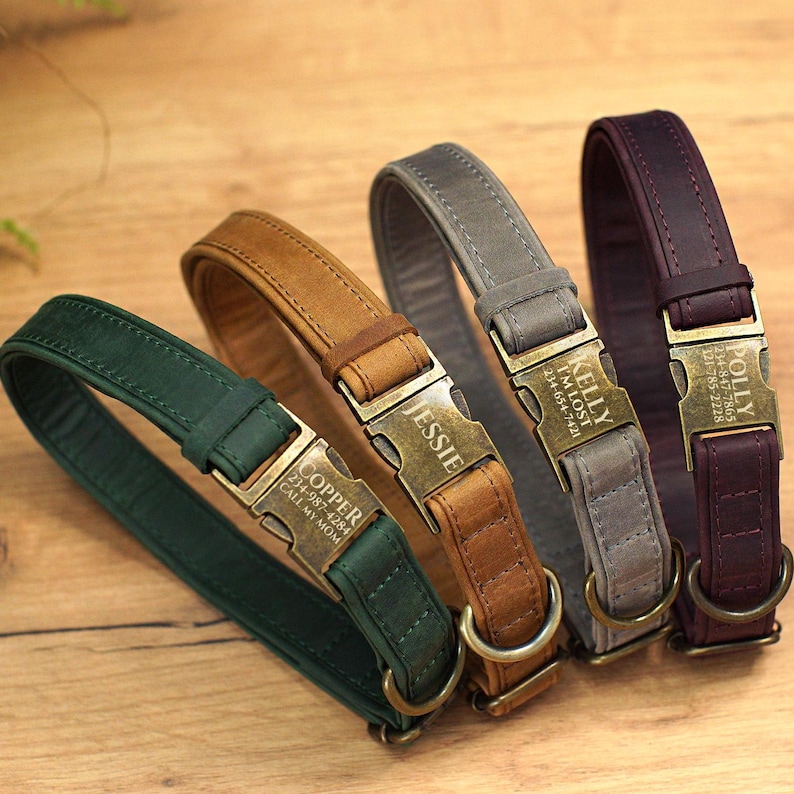 Graverade läderhalsband för hundar med namn, läderhalsband för husdjur med spänne, personligt hundhalsband, specialdesignat hundhalsband, present till husdjursägare bild 1