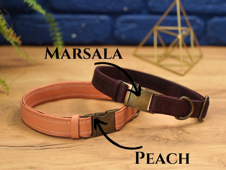 Graverade läderhalsband för hundar med namn, läderhalsband för husdjur med spänne, personligt hundhalsband, specialdesignat hundhalsband, present till husdjursägare bild 5