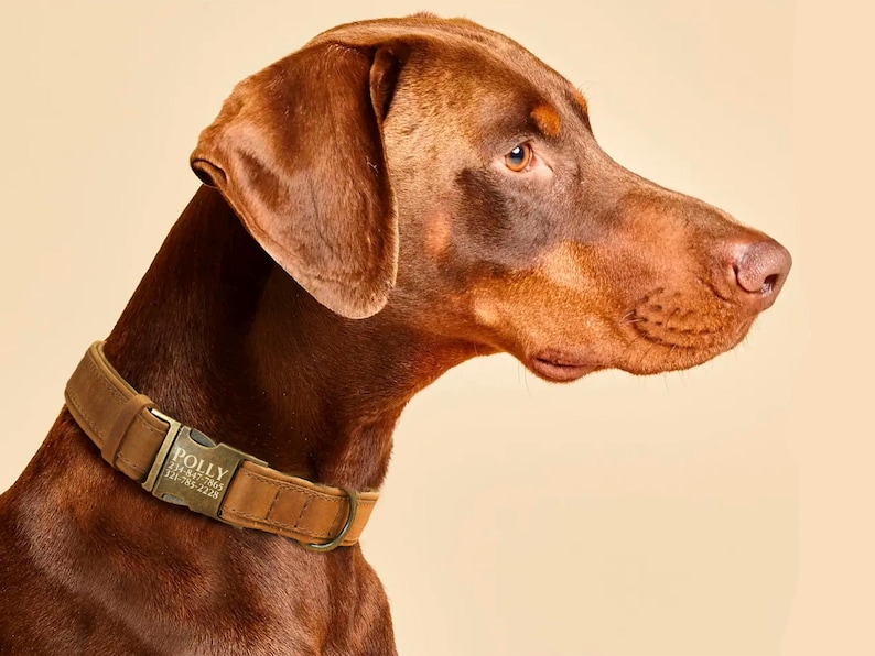 Graverade läderhalsband för hundar med namn, läderhalsband för husdjur med spänne, personligt hundhalsband, specialdesignat hundhalsband, present till husdjursägare bild 3