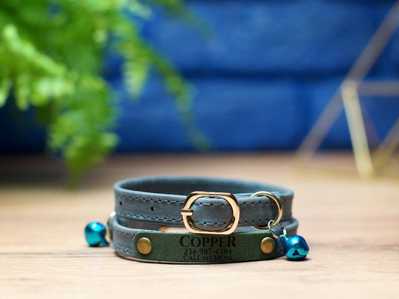 K&ouml;nnte beinhalten: Ein blaues Lederhalsband f&uuml;r Katzen mit einer goldenen Schnalle und einem gr&uuml;nen Lederanh&auml;nger mit der Aufschrift "COPPER 234-987-4281 CALL MY MOM". Das Halsband hat zwei blaue Gl&ouml;ckchen.