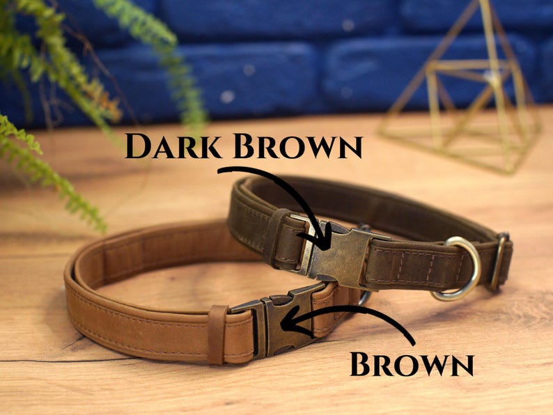 Graverade läderhalsband för hundar med namn, läderhalsband för husdjur med spänne, personligt hundhalsband, specialdesignat hundhalsband, present till husdjursägare bild 8