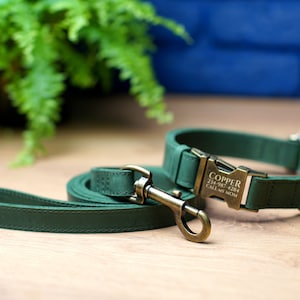 Puede incluir: Un collar y una correa de cuero verde para perro con una hebilla de lat&oacute;n grabada con el nombre "Copper", el n&uacute;mero de tel&eacute;fono "234-987-4284" y el texto "Llama a mi mam&aacute;".