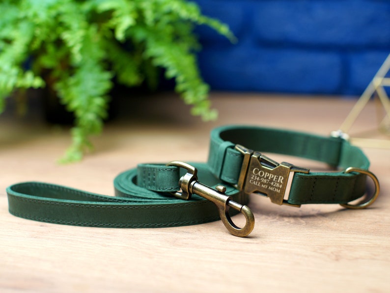 Puede incluir: Un collar y una correa de cuero verde para perro con una hebilla de lat&oacute;n grabada con el nombre "Copper", el n&uacute;mero de tel&eacute;fono "234-987-4284" y el texto "Llama a mi mam&aacute;".