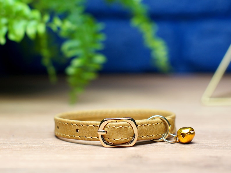K&ouml;nnte beinhalten: Ein braunes Lederhalsband f&uuml;r Katzen mit einer goldenen Schnalle und einem goldenen Gl&ouml;ckchen-Anh&auml;nger.