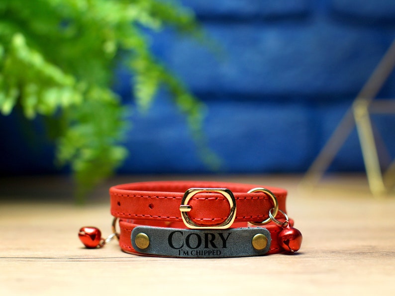K&ouml;nnte beinhalten: Rotes Lederhalsband f&uuml;r Katzen mit einem grauen Lederanh&auml;nger, auf dem "Cory I'm chipped" steht. Das Halsband hat zwei goldene Gl&ouml;ckchen.