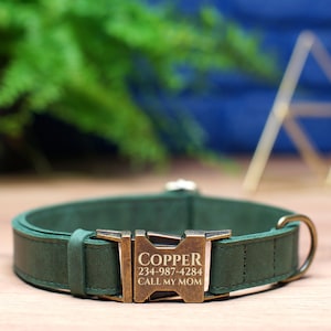 May include: A green leather dog collar with a brass buckle and engraved text that reads "COPPER 234-987-4284 CALL MY MOM".