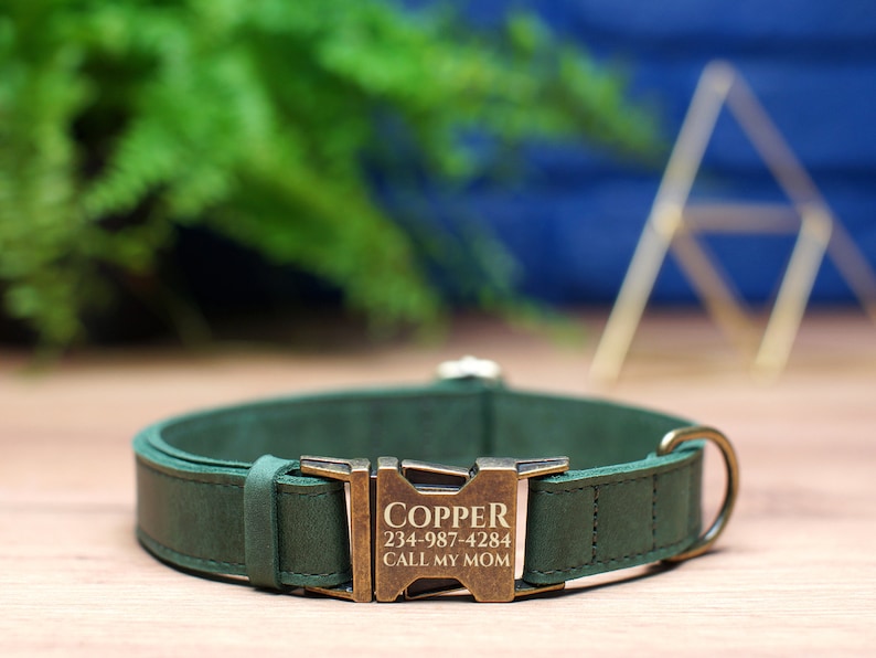 May include: A green leather dog collar with a brass buckle and engraved text that reads "COPPER 234-987-4284 CALL MY MOM".