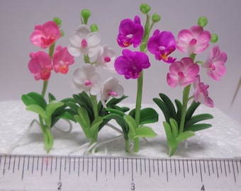1:12 Scale Pink /& White Orchid Dolls House Miniature Garden Flower Accessory 50s