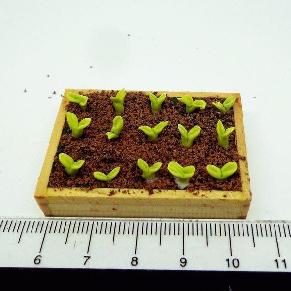 1:12th Scale Seedling  In A Wooden Tray Dolls House Miniature Garden