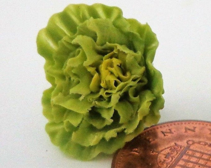 1:12 Scale Single Lettuce Vegetable Dolls House Miniature - Etsy