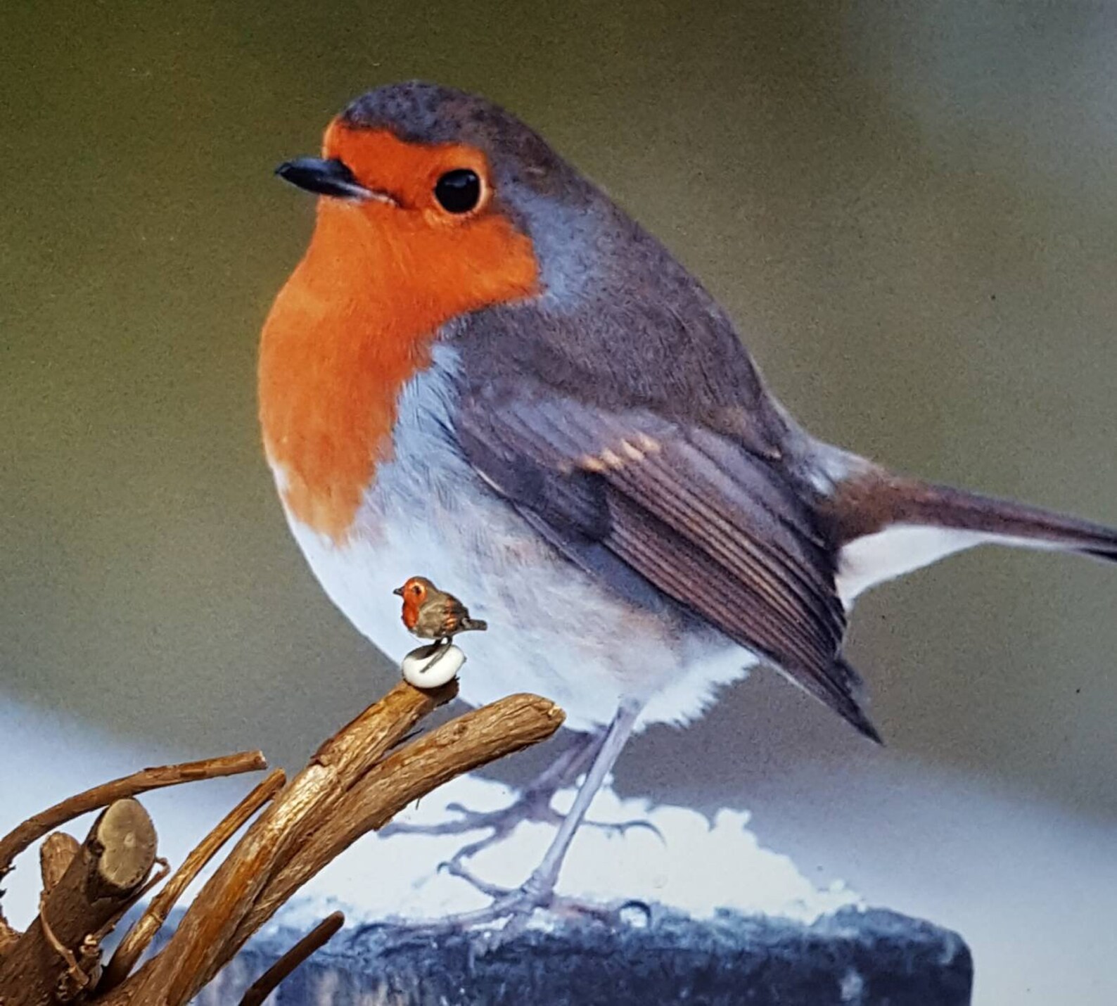1 X Hand Made Miniature Robin Bird - Etsy UK