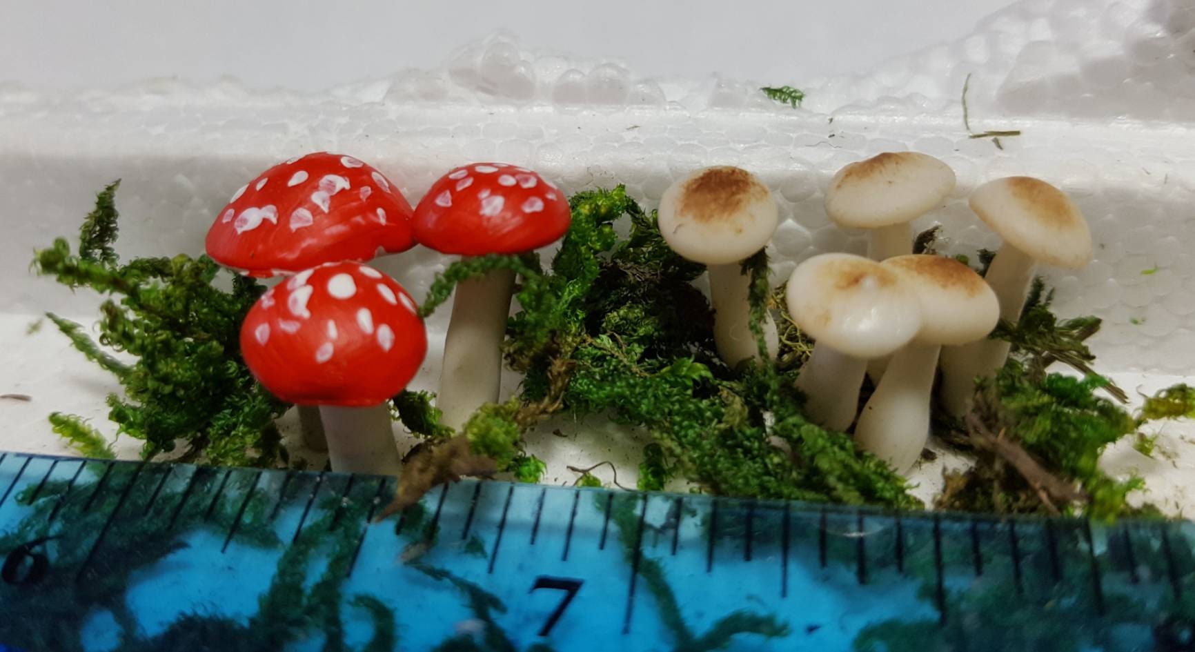 20Pcs Mini Mushroom Crafts Fake Tiny Mushrooms Decorative Miniature  Mushroom Ornaments