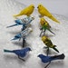 see more listings in the Birds section