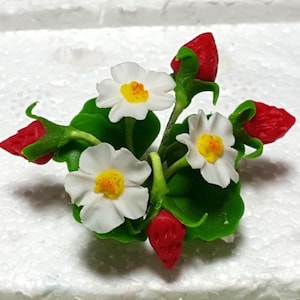 Könnte beinhalten: Eine Miniatur-Blumenarrangement mit weißen Blüten und roten Beeren. Die Blüten haben gelbe Zentren und die Beeren sind tiefrot.