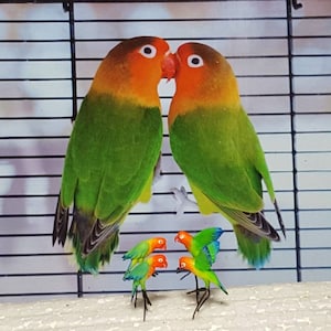 Ein paar handgefertigte Liebe Vogel Puppenhaus Miniatur Vogel