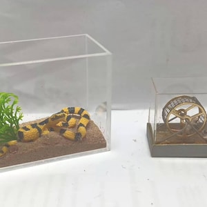 1;12 skala orm i terrarium, möss i inhägnad, miniatyrdjur