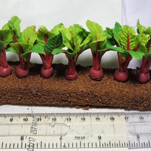 1:12 Scale Growing Beetroots Dolls House Miniature vegetable .garden