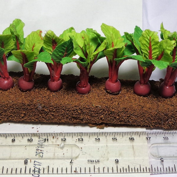 Miniature Vegetable Garden Etsy