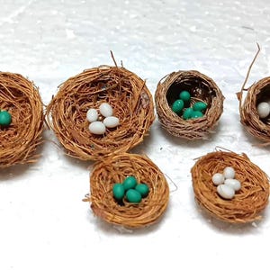 May include: A collection of miniature bird nests made from woven brown twigs. Each nest contains either small, round, teal-colored eggs or white eggs. The nests vary in size and shape, arranged on a white surface.