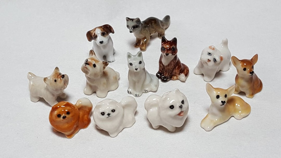 【中古美品】VIEW ON COLOUR 10 ANIMALITY il_1080xN.5091761894_45tu.jpg