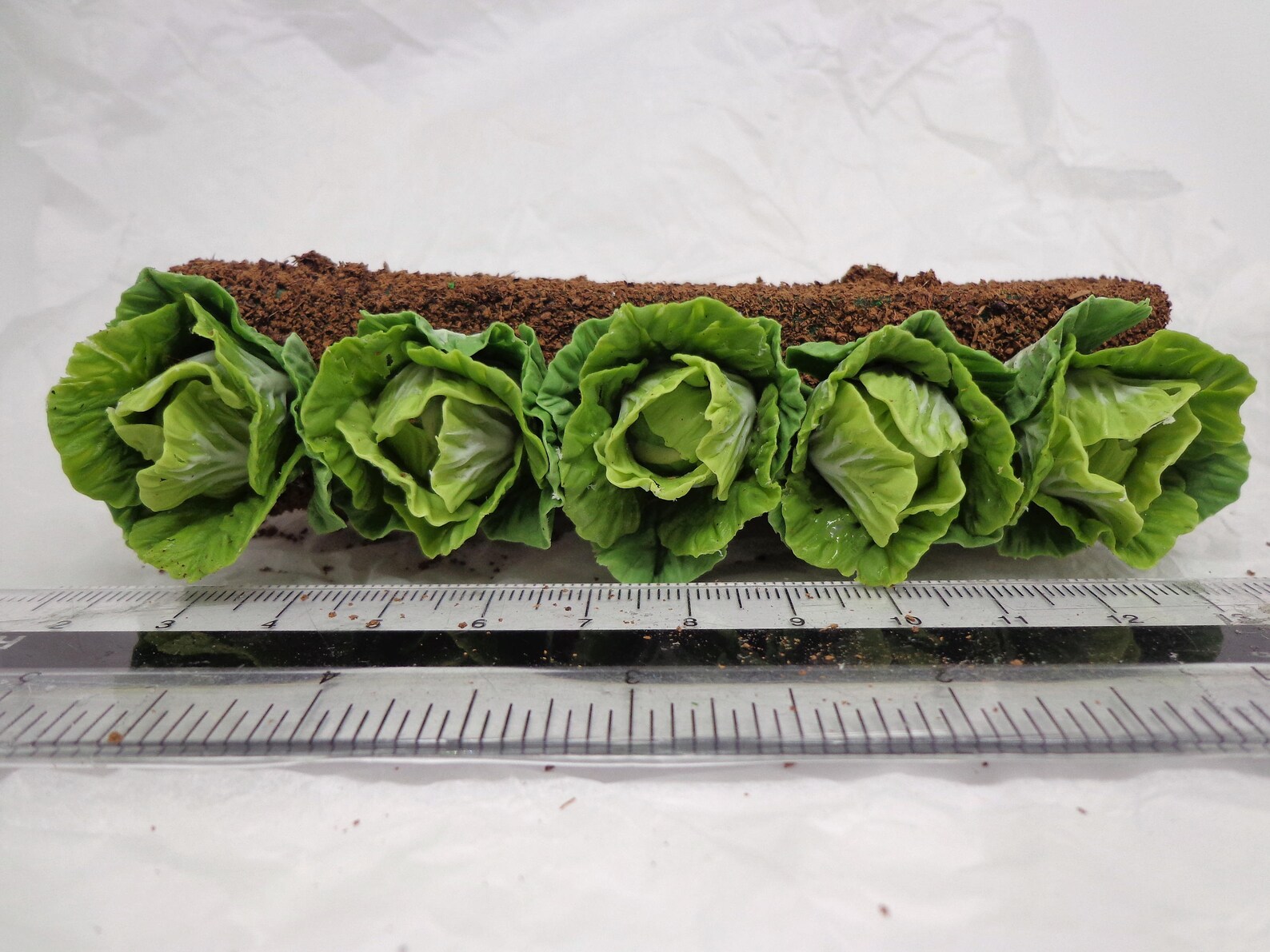 112th Scale Growing Cabbages Dolls House Miniature Garden Etsy UK