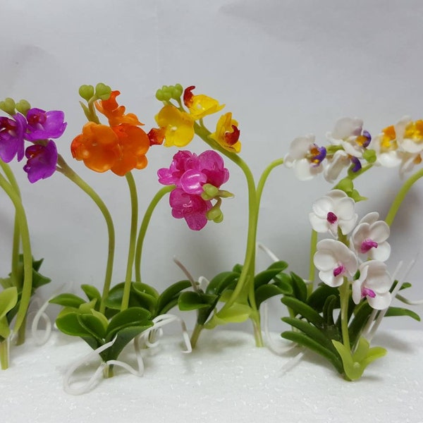 1;12Scale Hand Made beautiful Phalaenopsis Orchid Dollhouse Miniature Flowers , Garden