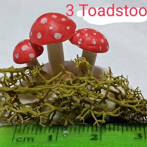 112 Scale Dolls House Mushrooms , Toadstools Dollhouse Garden image 8