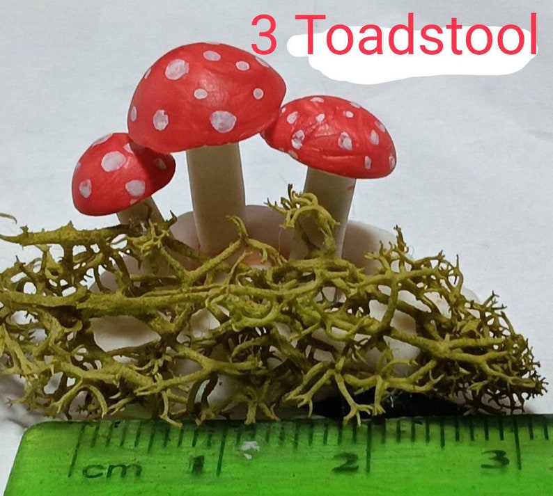 112 Scale Dolls House Mushrooms , Toadstools Dollhouse Garden image 8