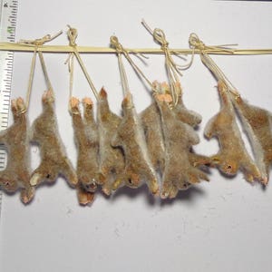 1:12 Scale 1 x  Hanging Dead Hare, Rabbit Dolls House Miniature