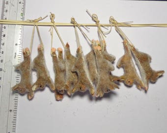 1:12 Scale 1 x  Hanging Dead Hare, Rabbit Dolls House Miniature