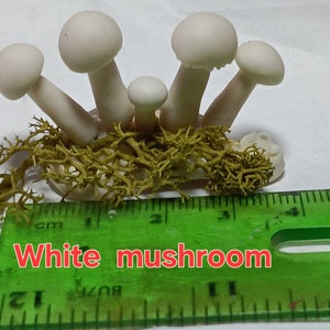 112 Scale Dolls House Mushrooms , Toadstools Dollhouse Garden image 3