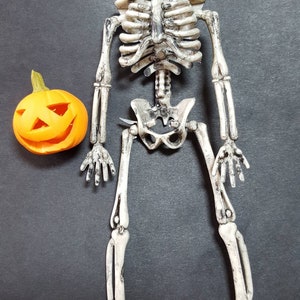 1;12 Scale Dolls house Miniatures Skeleton ,and Halloween Pumpkin , Halloween