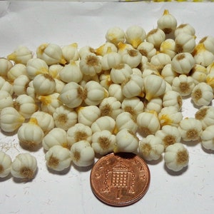 1:12 Scale Set of 10 Garlic Bulbs Dolls House Miniature Food Vegetables Accessory