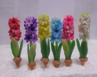 1;12 Échelle Jacinthes Fleurs Maison de poupée Fleur miniature , jardin