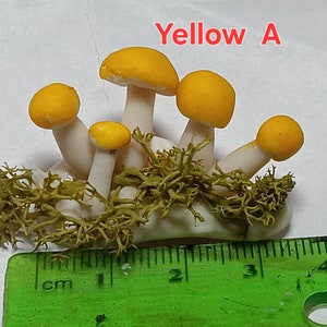 112 Scale Dolls House Mushrooms , Toadstools Dollhouse Garden image 5